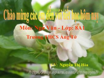 Bài giảng môn Ngữ văn Khối 8 - Tiếng Việt Tiết 114: Lựa chọn trật tự từ trong câu - Nguyễn Thị Hòa