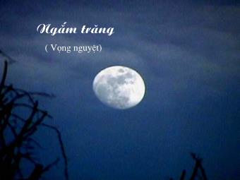 Bài giảng Ngữ văn Khối 8 - Hướng dẫn đọc hiểu Ngắm trăng (Hồ Chí Minh)