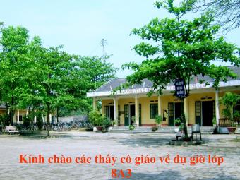 Bài giảng Ngữ văn Lớp 8 - Phân tích tác phẩm Tiết 117: Ông Giuốc-đnah mặc lễ phục