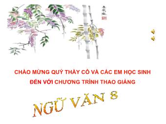 Bài giảng Ngữ văn Lớp 8 - Tiếng Việt: Tình thái từ