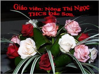 Bài giảng Ngữ văn Lớp 8 - Tiết 107: Hội thoại - Nông Thị Ngọc