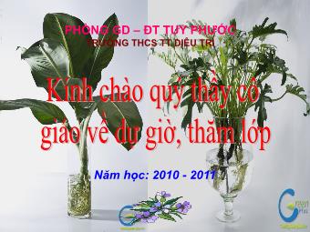 Bài giảng Ngữ văn Lớp 8 - Tiết 50: Dấu ngoặc đơn, Dấu hai chấm - Trường THCS Thị trấn Diêu Trì