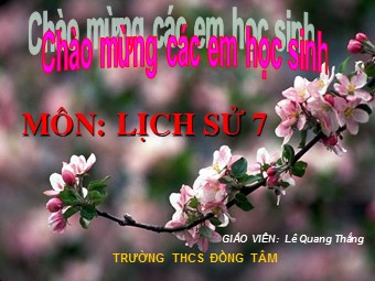 Bài giảng Lịch sử Khối 7 - Bài 25: Phong trào Tây Sơn - Trường THCS Đồng Tâm