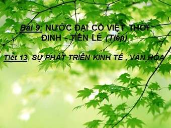 Bài giảng Lịch sử Lớp 7 - Bài 9: Nước Đại Cồ Việt thời Đinh - Tiền Lê - Tiết 13: Sự phát triển kinh tế , văn hóa