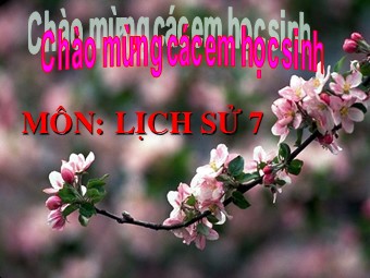 Bài giảng môn Lịch sử Khối 7 - Tiết 53, Bài 25: Phong trào Tây Sơn