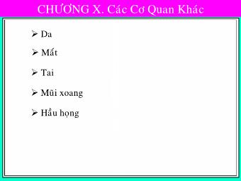 Bài giảng Giải phẫu sinh lý người - Chương 12: Các cơ quan khác