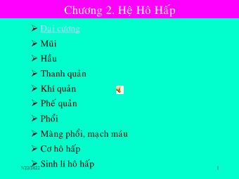 Bài giảng Giải phẫu sinh lý người - Chương 6: Hệ hô hấp