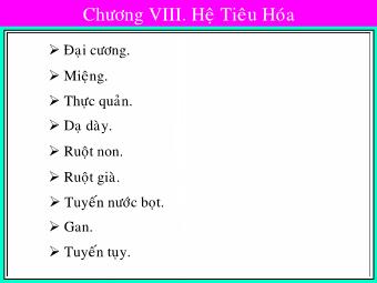 Bài giảng Giải phẫu sinh lý người - Chương 7: Hệ tiêu hóa