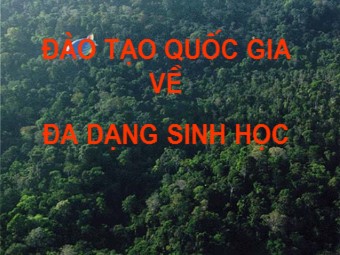 Bài giảng Giáo dục môi trường - Chương 1: Đa dạng sinh học