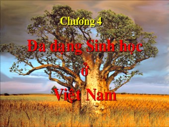Bài giảng Giáo dục môi trường - Chương 4: Đa dạng Sinh học ở Việt Nam