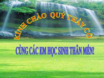 Bài giảng Lịch sử Khối 7 - Bài 25: Phong trào Tây Sơn (Chuẩn kĩ năng)