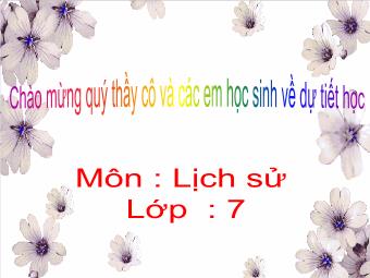 Bài giảng Lịch sử Khối 7 - Tiết 45, Bài 21: Ôn tập chương IV