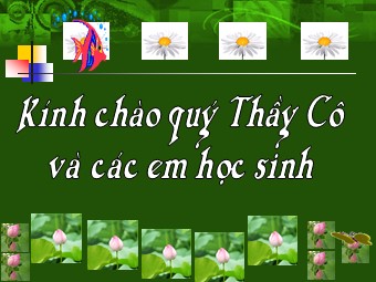 Bài giảng Lịch sử Khối 8 - Bài 11: Các nước Đông Nam Á cuối thế kỉ XIX đầu thế kỉ XX - Đoàn Thị Hồng Ngọc