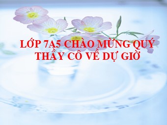 Bài giảng Lịch sử Lớp 7 - Bài 24: Ba lần kháng chiến chống quân xâm lược Mông Nguyên thế kỉ XIII (Tiếp theo)