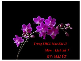 Bài giảng Lịch sử Lớp 7 - Bài 5: Ấn Độ thời phong kiến - Mai Út