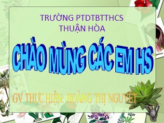 Bài giảng môn Lịch sử Lớp 7 - Bài 25: Phong trào Tây Sơn (Tiếp theo) - Hoàng Thị Nguyệt