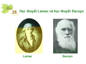 Bài giảng môn Sinh học Lớp 12 - Bài 25: Học thuyết Lamac và Dacuyn (Chuẩn kiến thức)