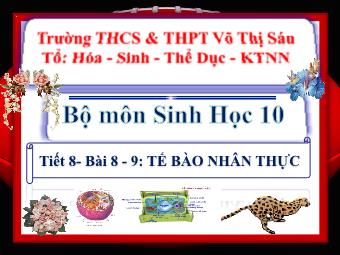 Bài giảng Sinh học Lớp 10 - Bài 8+9: Tế bào nhân thực - Trường THPT Võ Thị Sáu