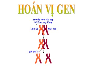 Bài giảng Sinh học Lớp 12 - Bài 11: Liên kết gen và hoán vị gen (Chuẩn kĩ năng)
