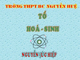 Bài giảng Sinh học Lớp 12 - Bài 13: Ảnh hưởng của môi trường lên sự biểu hiện của gen - Trường THPT Nguyễn Huệ