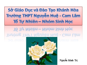 Bài giảng Sinh học Lớp 12 - Bài 2: Phiên mã và dịch mã - Nguyễn Minh Trị