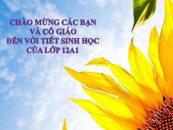 Bài giảng Sinh học Lớp 12 - Bài 41: Diễn thế sinh thái - Nguyễn Thị Hương (Bản đẹp)
