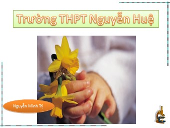 Bài giảng Sinh học Lớp 12 - Bài 6: Đột biến số lượng nhiễm sắc thể - Nguyễn Minh Trị