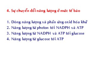 Bài giảng Sinh học tế bào - Chương 4: Sự chuyển đổi năng lượng ở mức tế bào