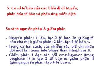 Bài giảng Sinh học tế bào - Chương 5: Cơ sở tế bào của các biến dị di truyền, phân hóa tế bào và phản ứng miễn dịch