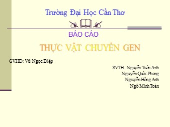 Báo cáo Thực vật chuyển gen