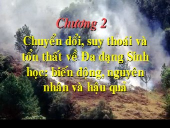 Chuyển đổi, suy thoái và tổn thất về đa dạng sinh học: Biến động, nguyên nhân và hậu quả