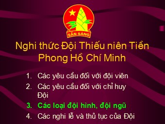 Nghi thức Đội Thiếu niên Tiền Phong Hồ Chí Minh - Nguyễn Đức Dũng