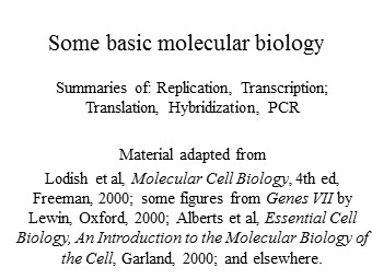 Some basic molecular biology