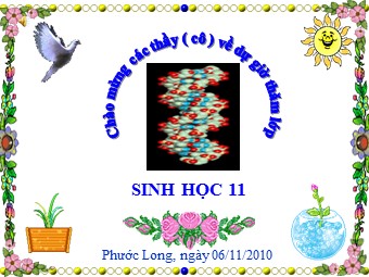 Bài giảng môn Sinh học Lớp 11 - Bài 18: Tuần hoàn máu