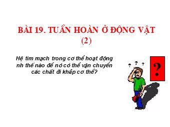 Bài giảng môn Sinh học Lớp 11 - Bài 19, Phần 2: Tuần hoàn máu