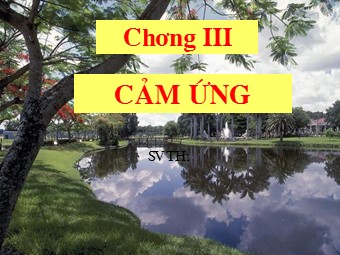 Bài giảng môn Sinh học Lớp 11 - Bài 23: Hướng động