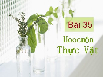 Bài giảng môn Sinh học Lớp 11 - Bài 35: Hoocmôn thực vật (Bản hay)