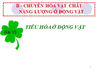 Bài giảng Sinh học Lớp 11 - Bài 15: Tiêu hóa ở động vật (Bản chuẩn kĩ năng)