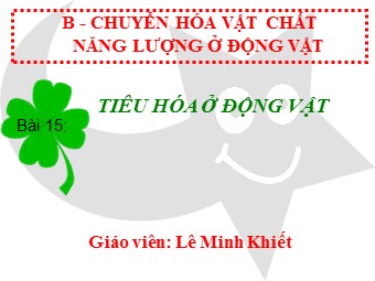 Bài giảng Sinh học Lớp 11 - Bài 15: Tiêu hoá ở động vật - Lê Minh Khiết