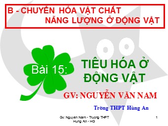 Bài giảng Sinh học Lớp 11 - Bài 15: Tiêu hóa ở động vật - Nguyễn Văn Nam