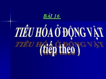 Bài giảng Sinh học Lớp 11 - Bài 16, Phần 2: Tiêu hóa ở động vật (Bản đẹp)