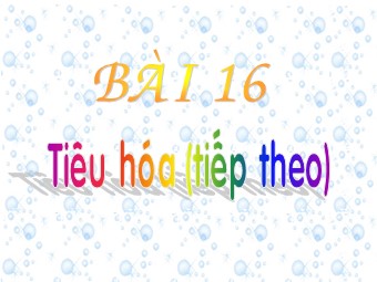 Bài giảng Sinh học Lớp 11 - Bài 16, Phần 2: Tiêu hóa ở động vật (Bản chuẩn kiến thức)