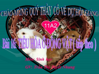 Bài giảng Sinh học Lớp 11 - Bài 16, Phần 2: Tiêu hóa ở động vật - Trần Thị Tuyết Nhung