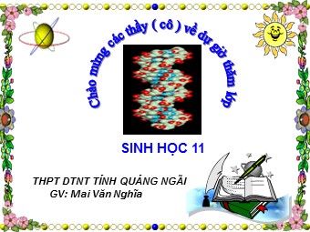 Bài giảng Sinh học Lớp 11 - Bài 17: Hô hấp ở động vật - Mai Văn Nghĩa