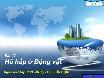 Bài giảng Sinh học Lớp 11 - Bài 17: Hô hấp ở động vật - Ngô Văn Hội