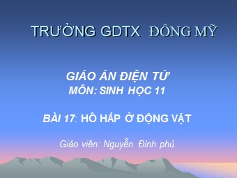 Bài giảng Sinh học Lớp 11 - Bài 17: Hô hấp ở động vật - Nguyễn Đình Phú