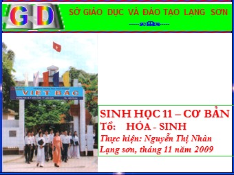 Bài giảng Sinh học Lớp 11 - Bài 17: Hô hấp ở động vật - Nguyễn Thị Nhàn