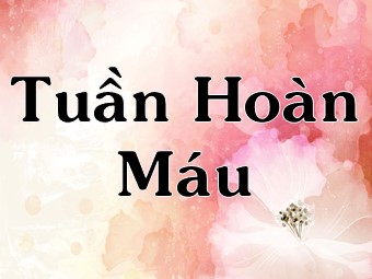 Bài giảng Sinh học Lớp 11 - Bài 18: Tuần hoàn máu (Bản chuẩn kĩ năng)