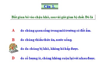 Bài giảng Sinh học Lớp 11 - Bài 18: Tuần hoàn máu (Bản đẹp)