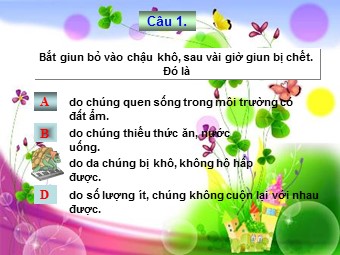 Bài giảng Sinh học Lớp 11 - Bài 18: Tuần hoàn máu (Chuẩn kĩ năng)